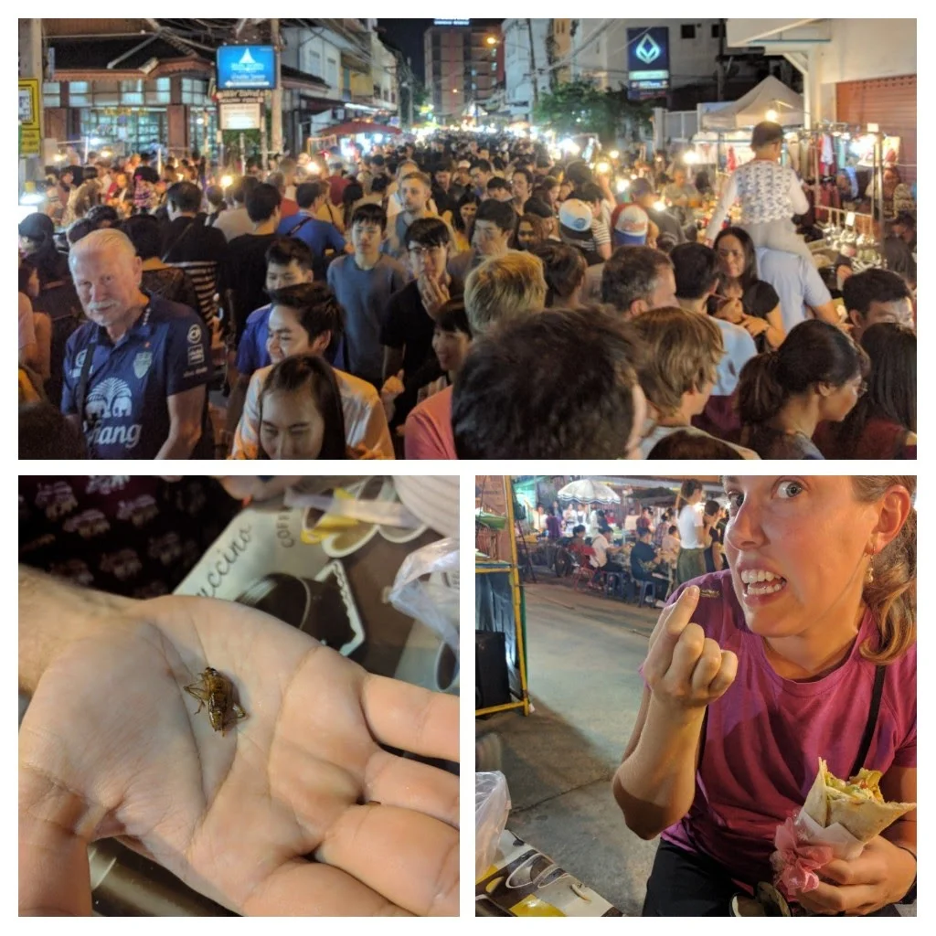 Phil bought a bag of crickets for us to try at the market. When we asked the lady selling the bugs which ones she thought tasted the best, she pointed to the crickets and the grubs. The crickets just tasted like little fried crunchy things- not my favorite, but better than I expected! A few days ago, Jeff and I asked our taxi driver if the locals eat fried bugs. He told us they were only for the tourists...