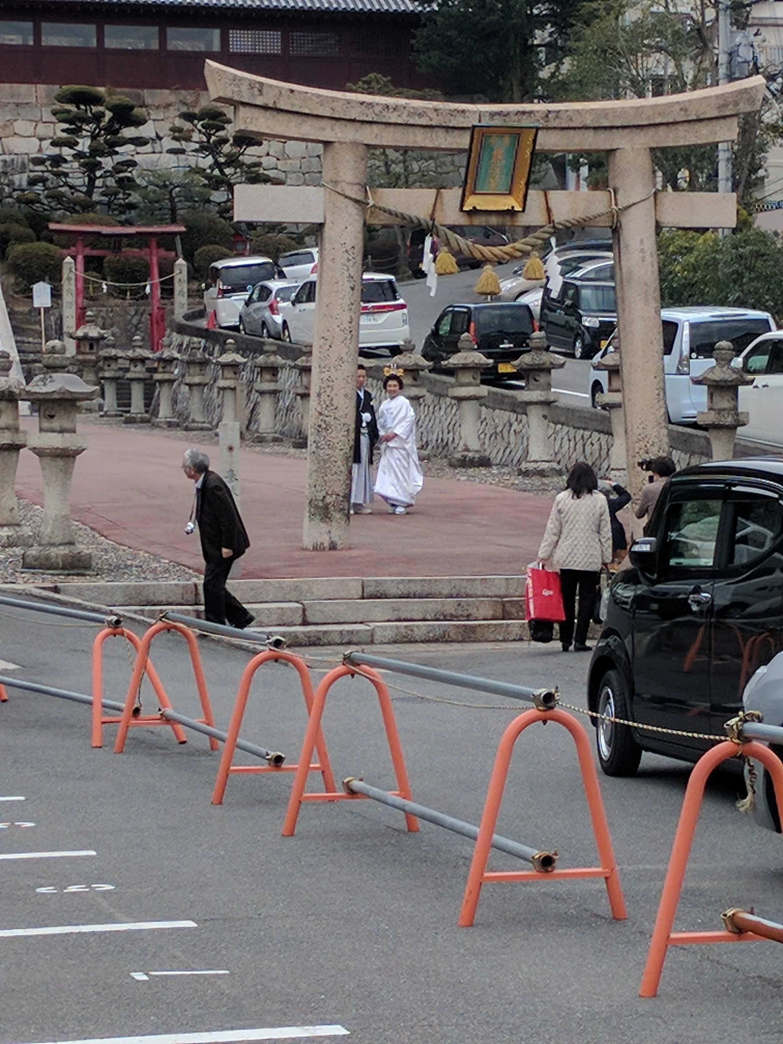 Spotted! Wedding photos!