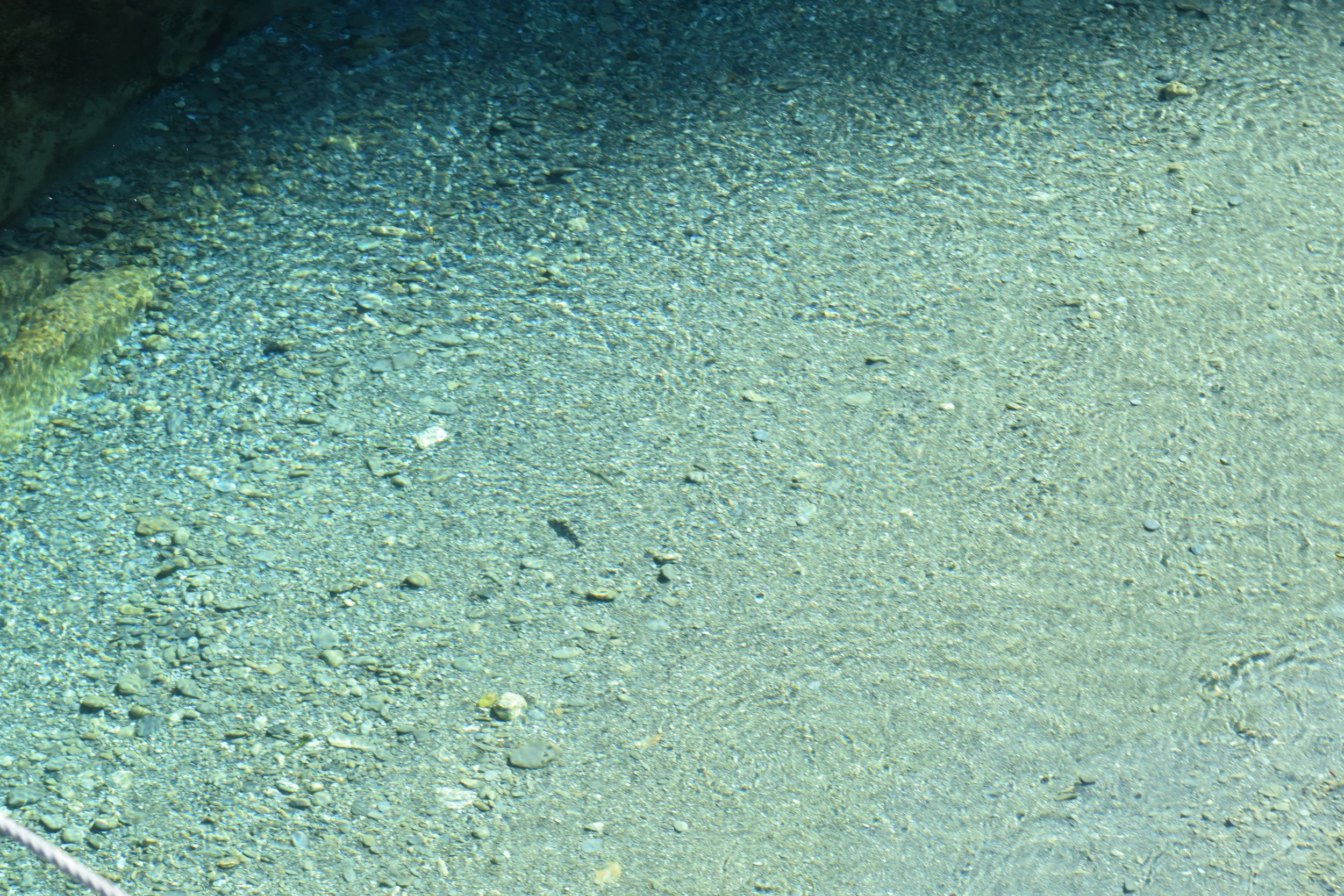 I know this looks like a picture of random rocks, but it is actually a photo looking straight into the Blue Pools. The water is that clear in New Zealand! You can see straight to the bottom of pools, lakes and rivers!
