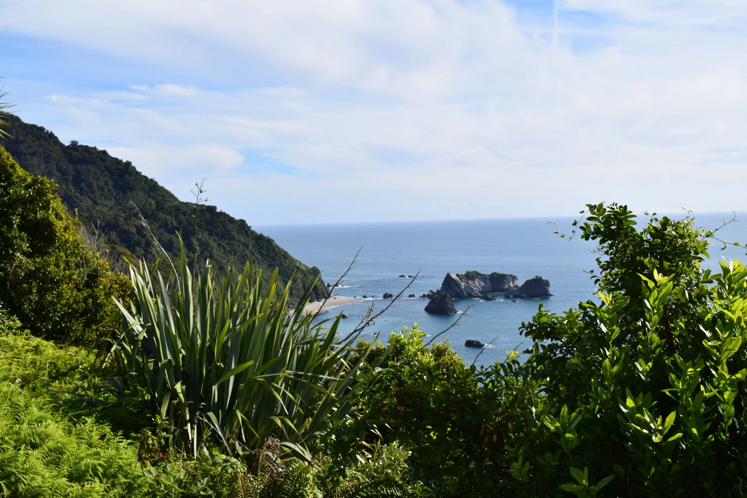 The random views on the south island were stunning!!!
