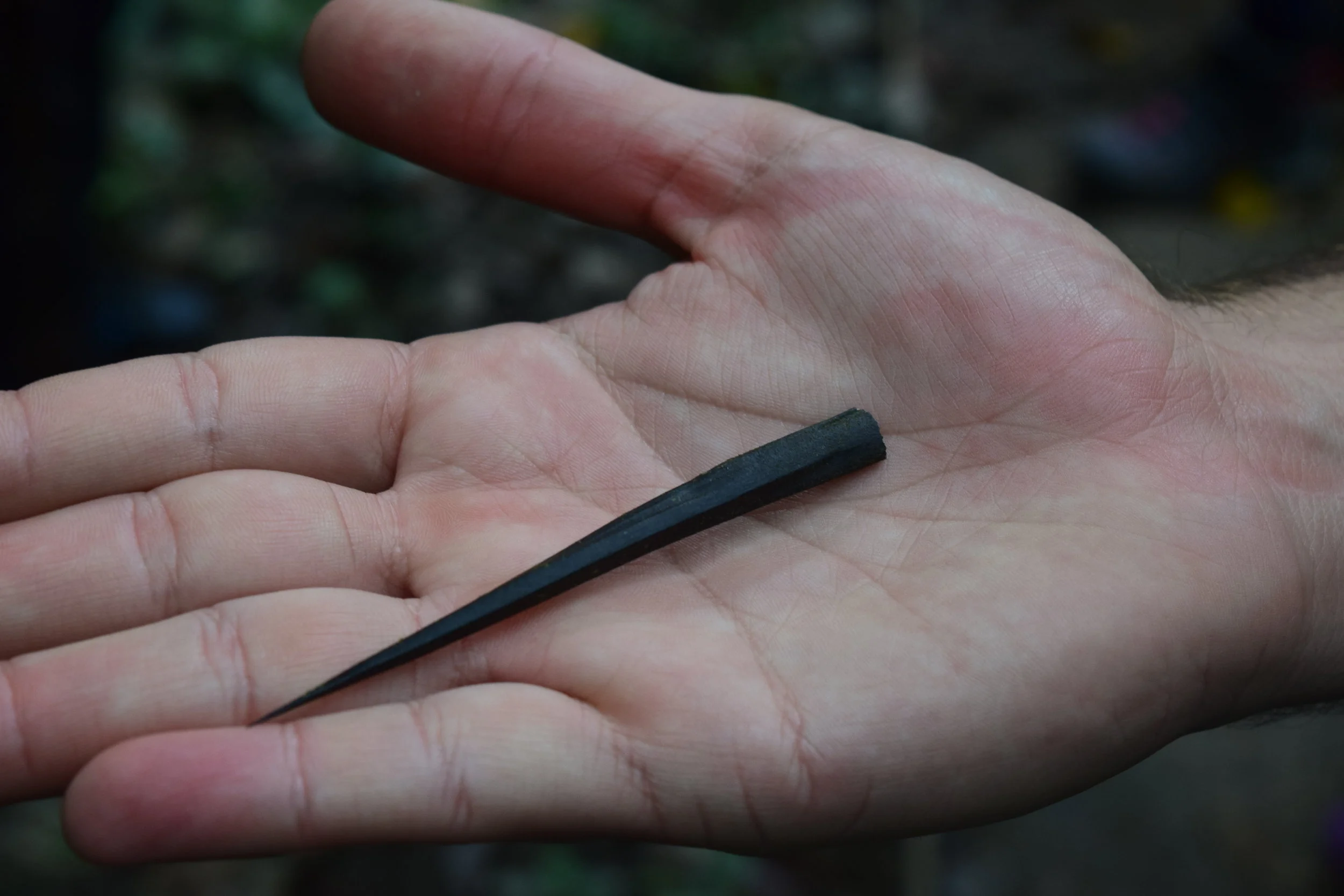 Our guide taught us a lot about local flora and fauna. He showed us that the spikes from a certain type of palm tree could be used for blow darts.