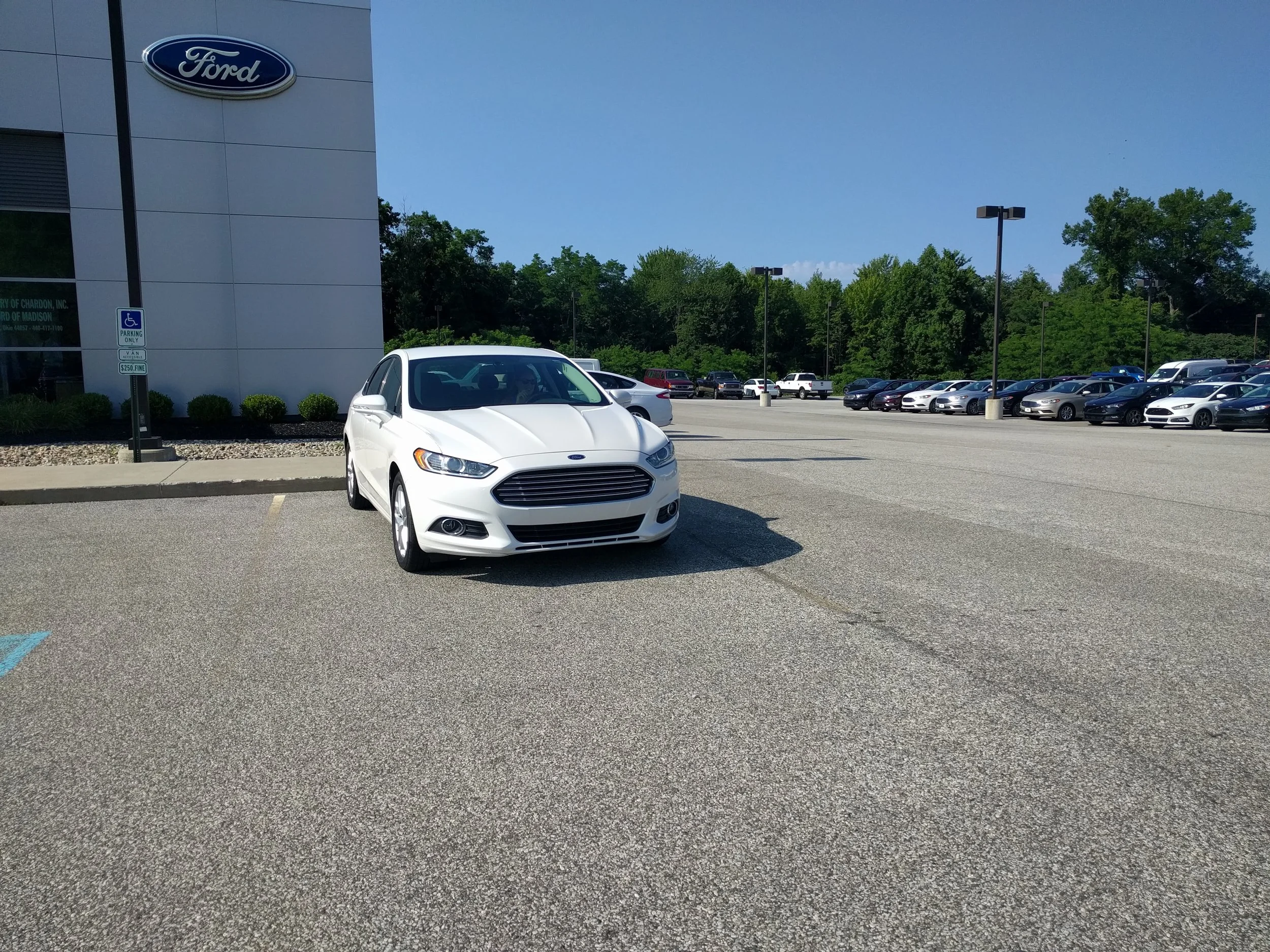Our new whip!