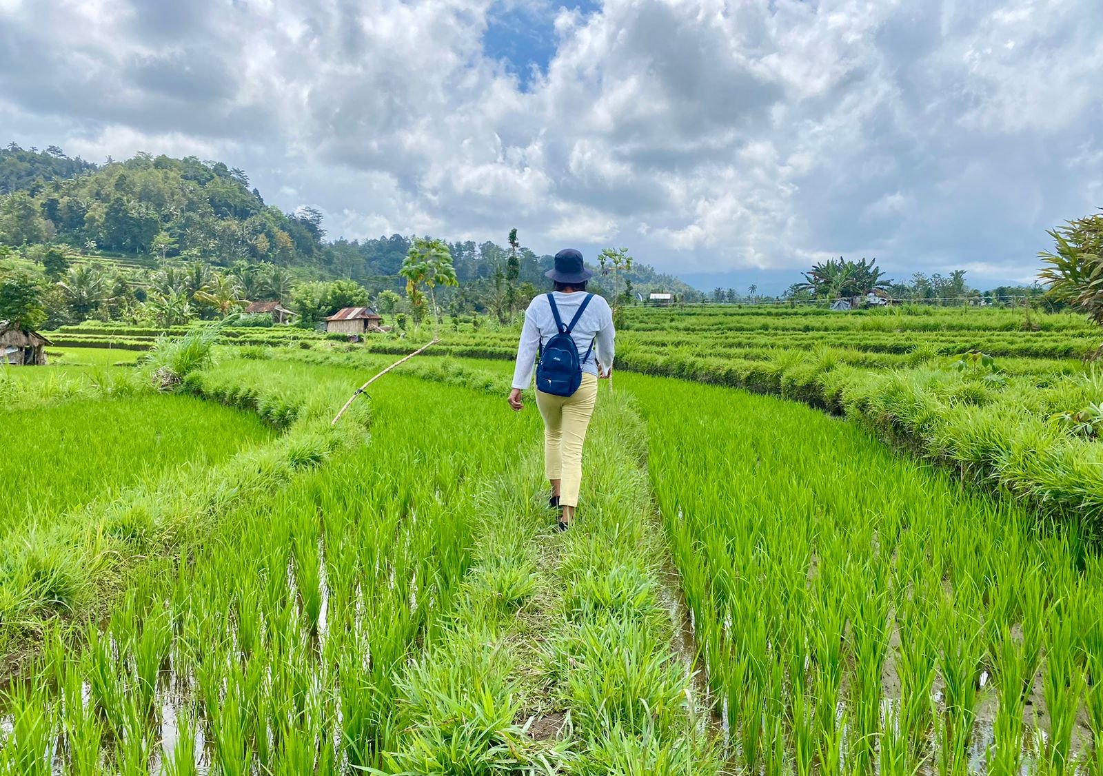 Sidemen ricefield trekking during Drishti Journeys Bali retreat