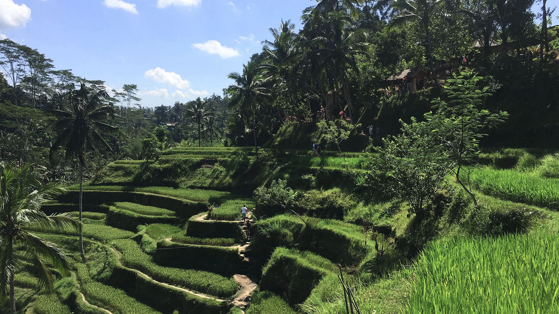 10 Best Places to Visit on a Bali Yoga Retreat