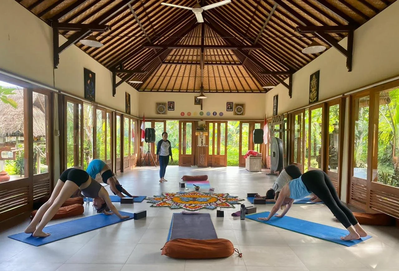 WhatsApp Image 2023-01-17 at 18.31.36 (2).jpeg