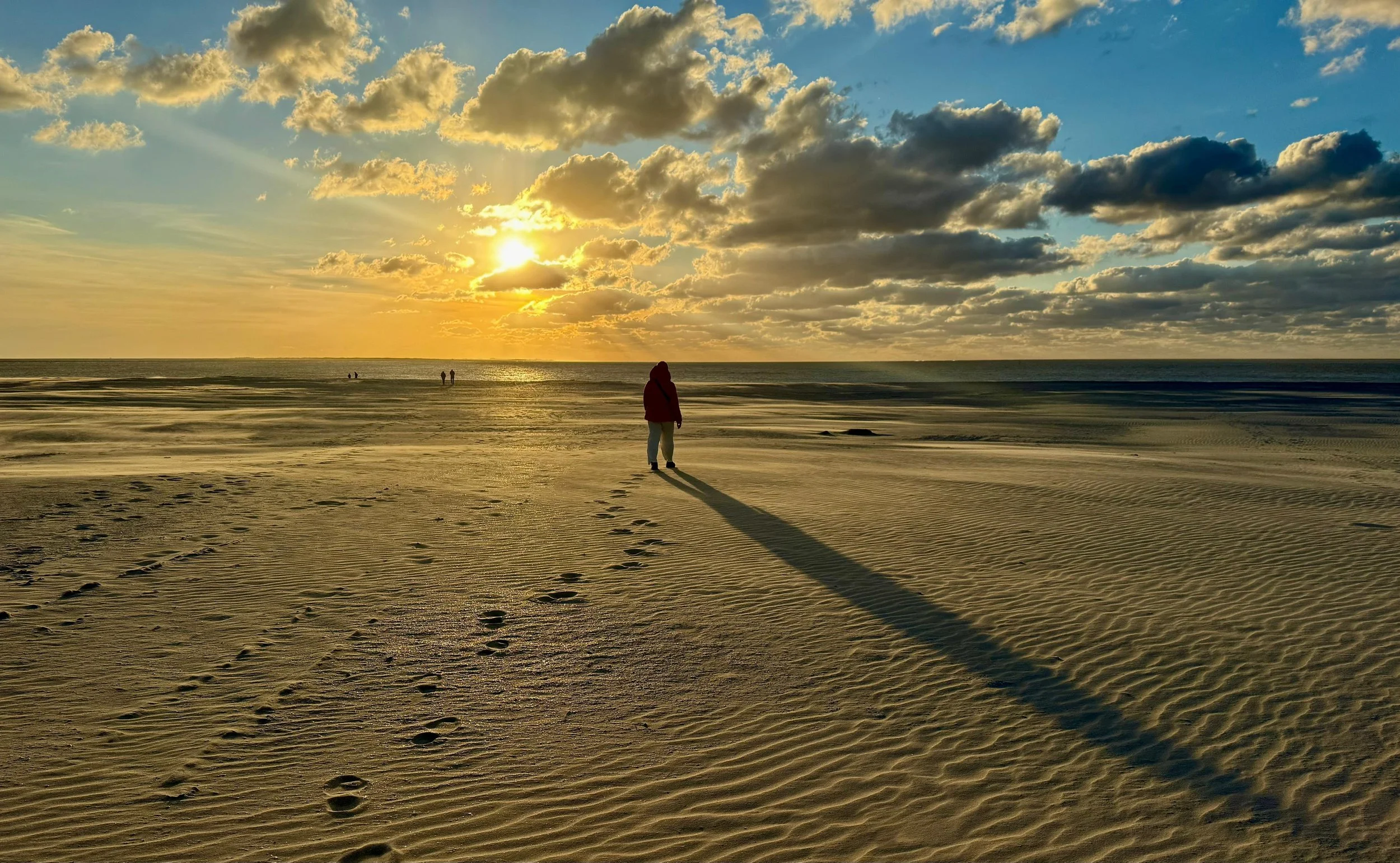 The Power of the Horizon: Finding Stillness and Space on the Shores of Terschelling (2026 Retreat)