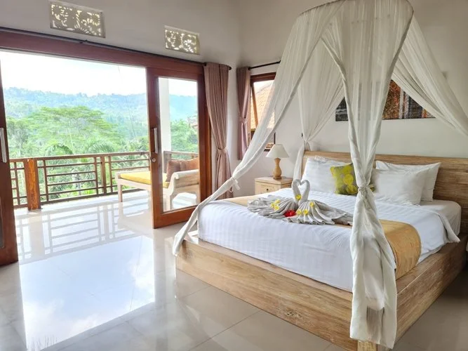 deluxe room alamdhari.jpg