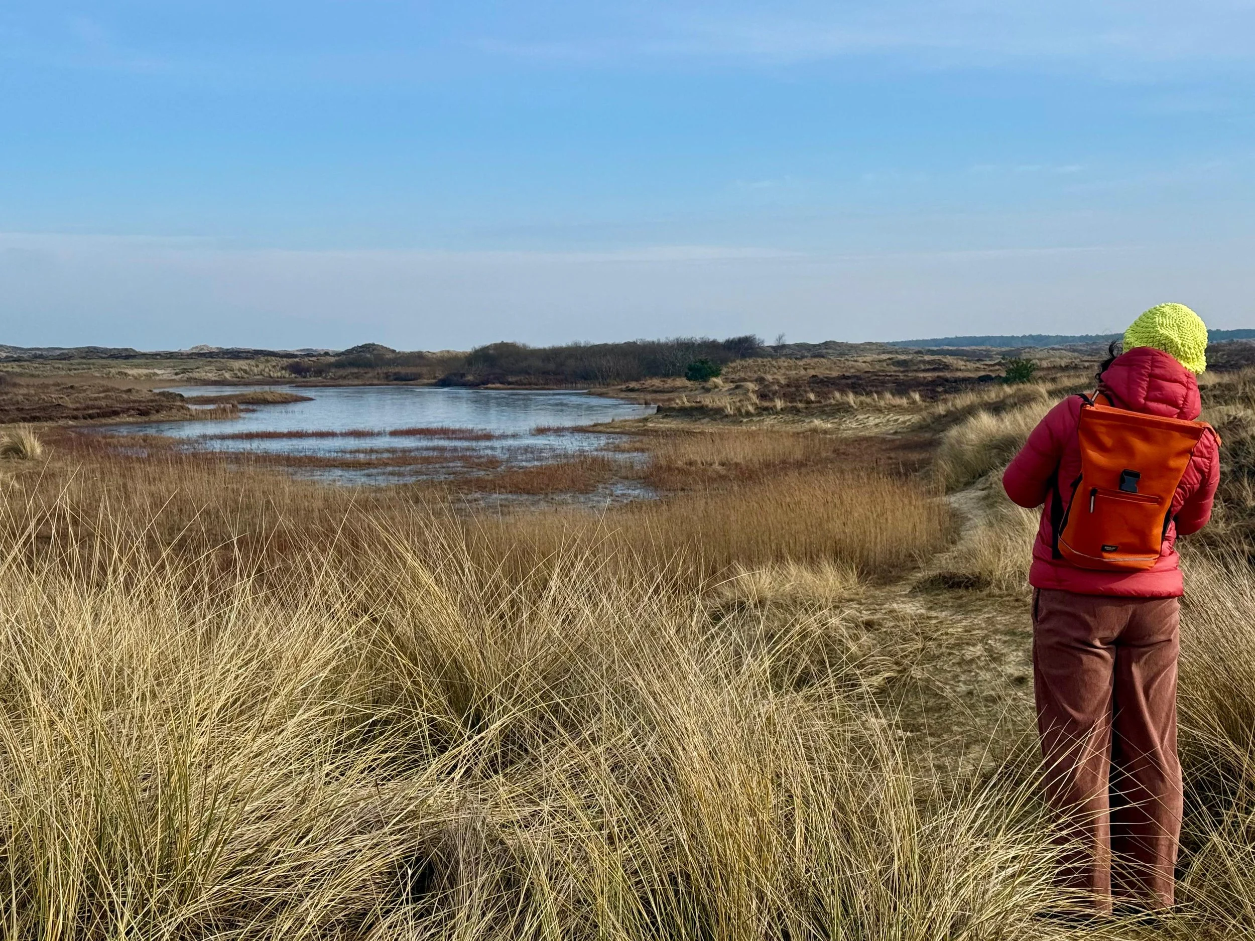 view of Boschplaat, Terschelling - NL