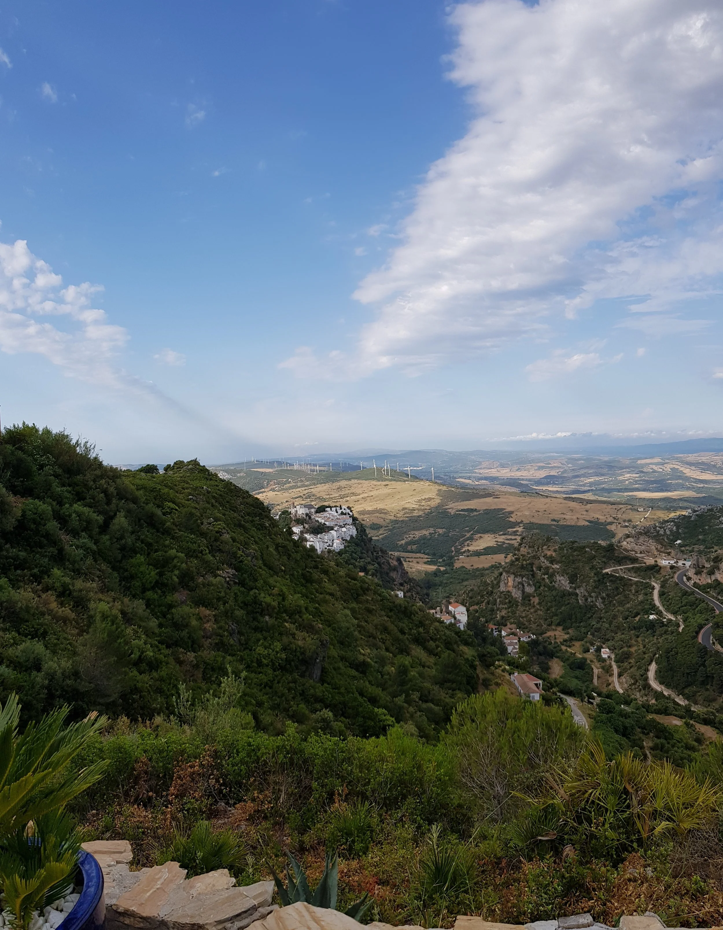 20180621_093701.jpg