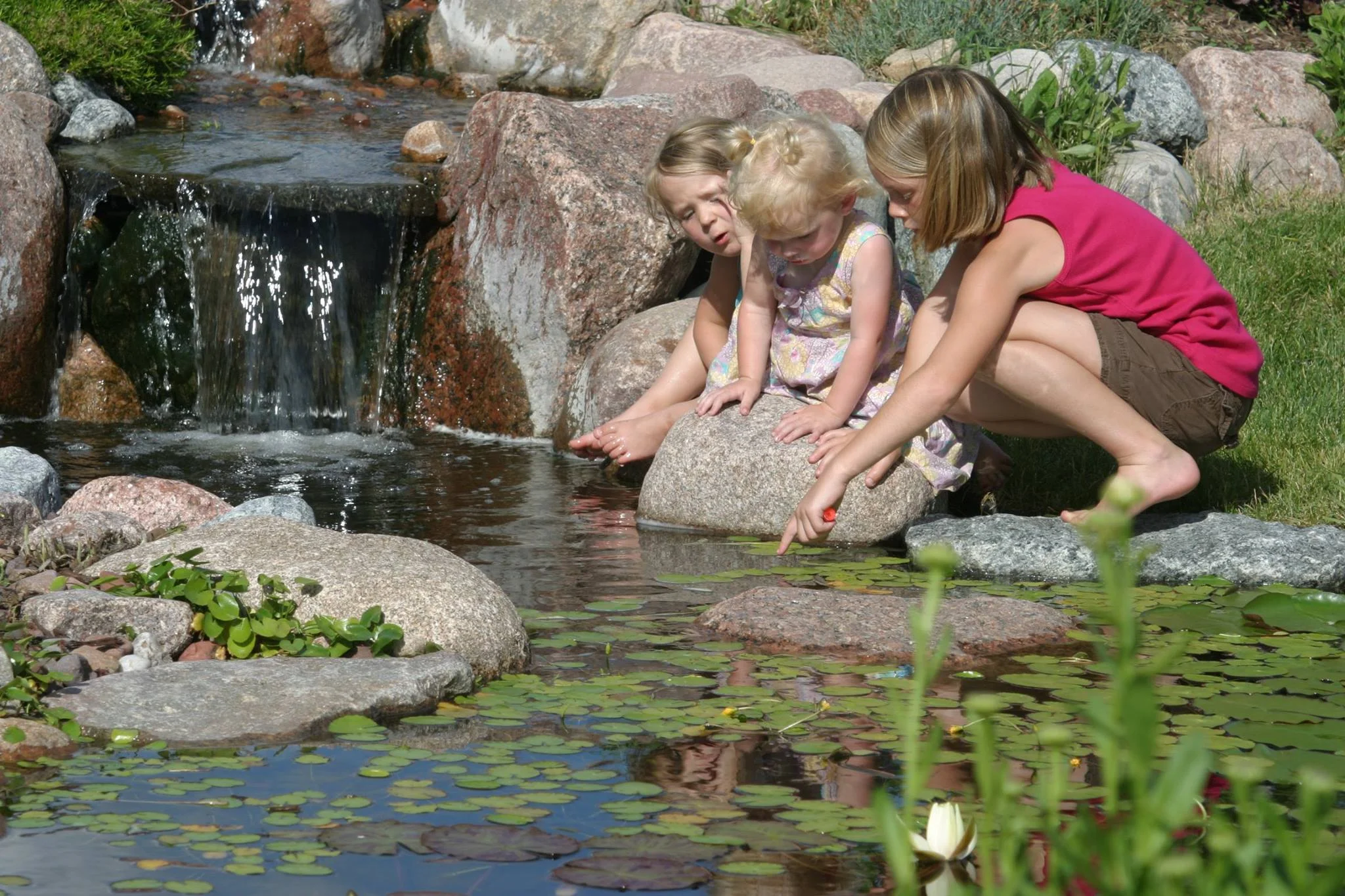 Aquascape_2.jpg
