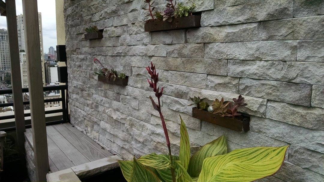 Planter_wall_1.jpg