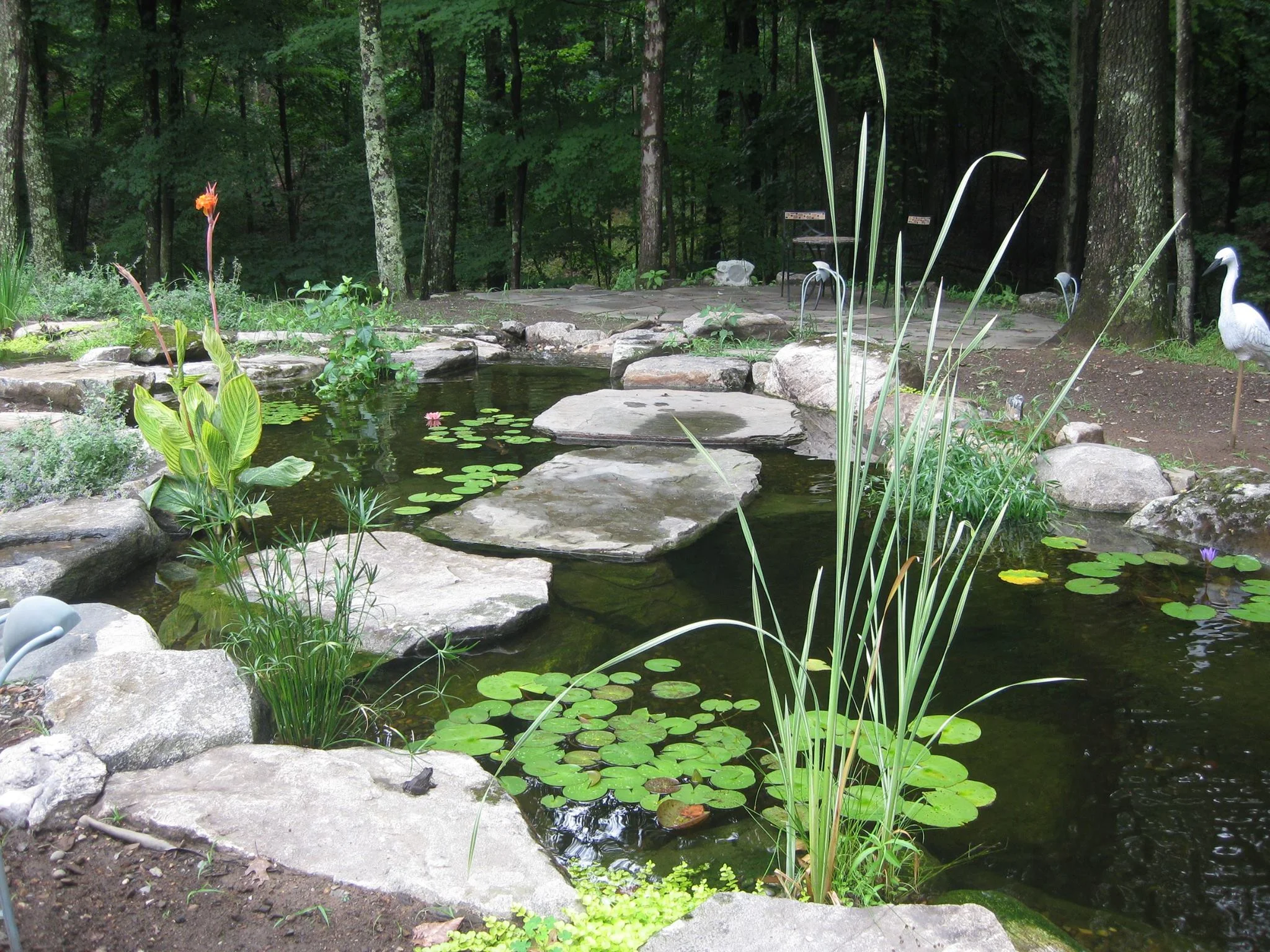 pond_1.jpg