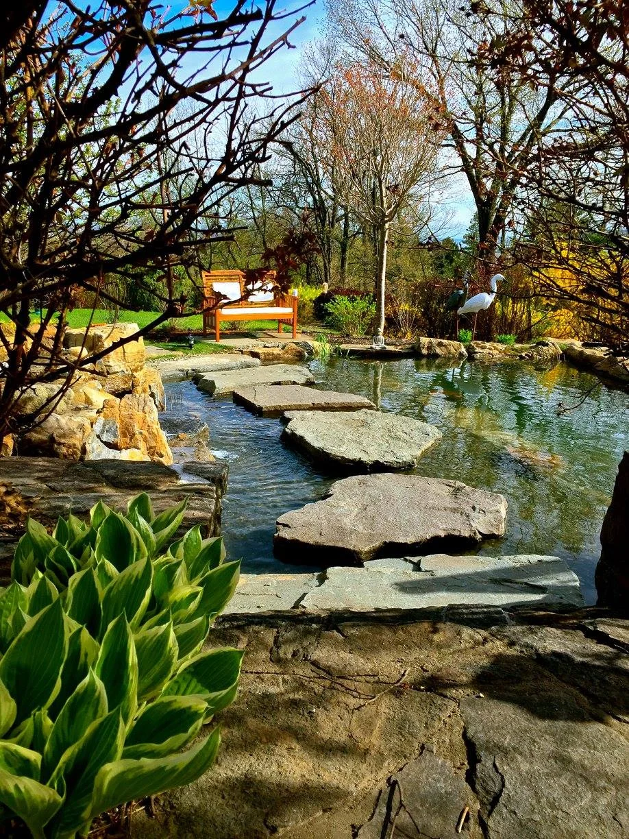 pond_5.jpg