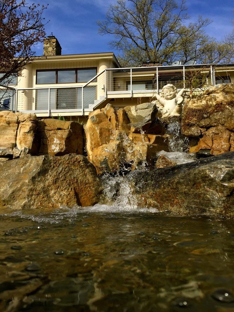 pond_6.jpg