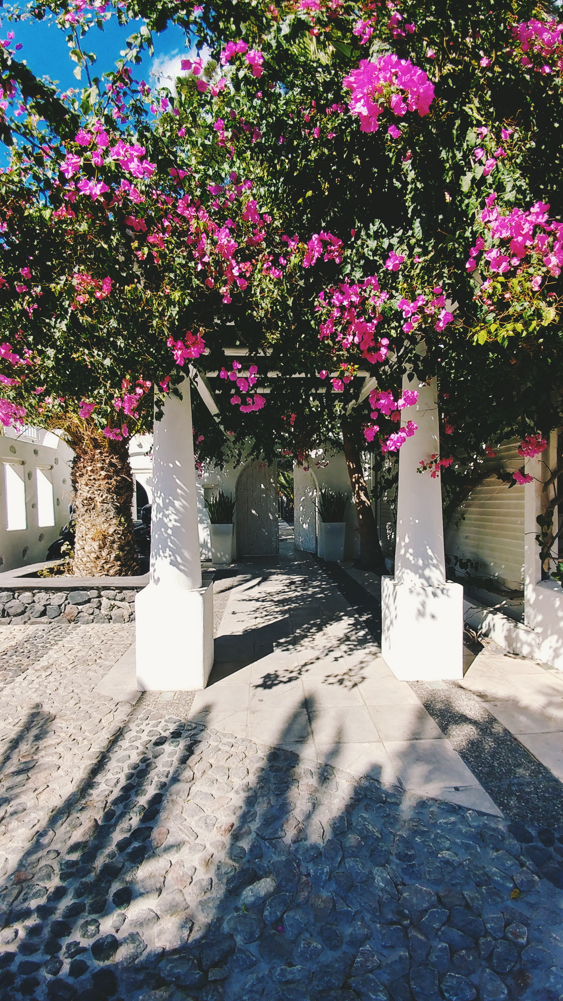 Hotel Entrance