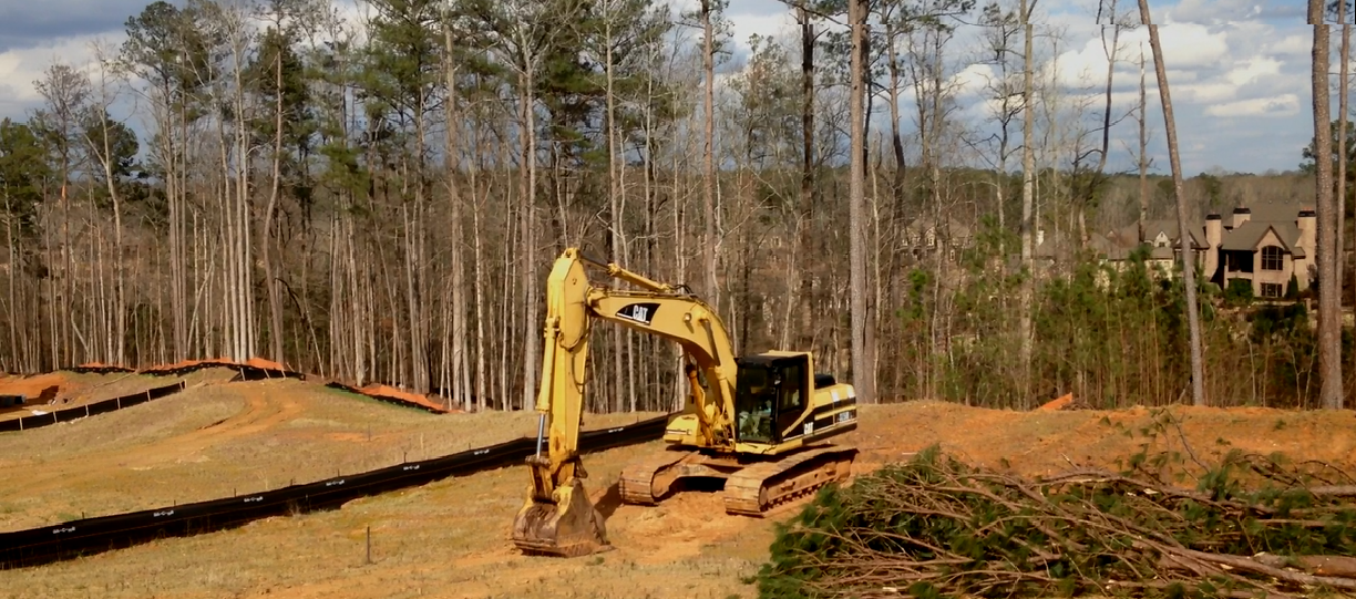 Manor Clearing 1.png