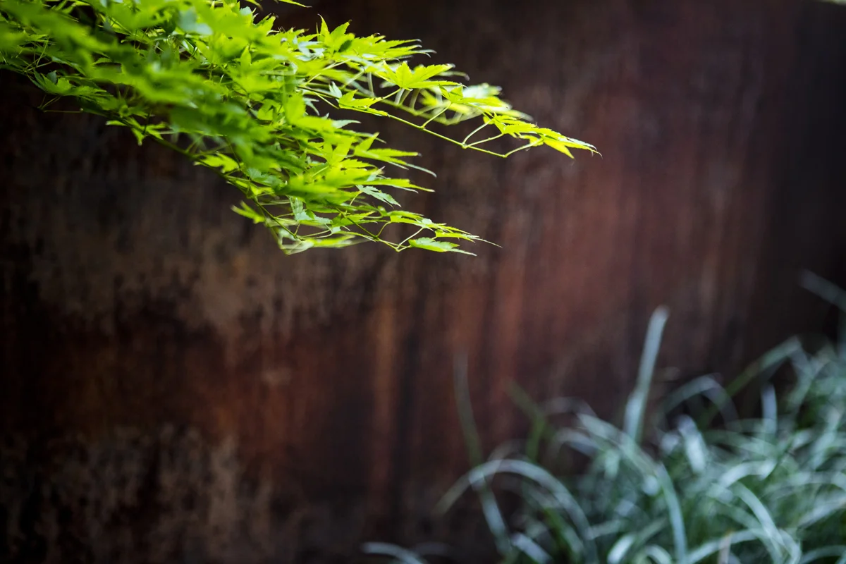 679_09.16_Green17 ©Bronk.jpg