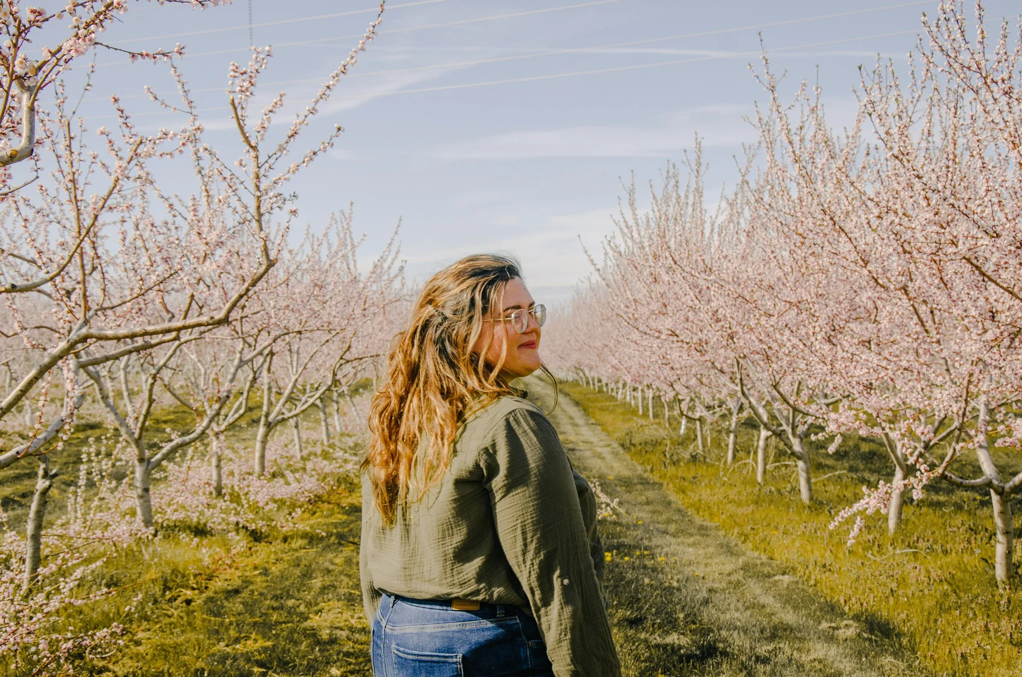 Cherry Blossoms | 2023