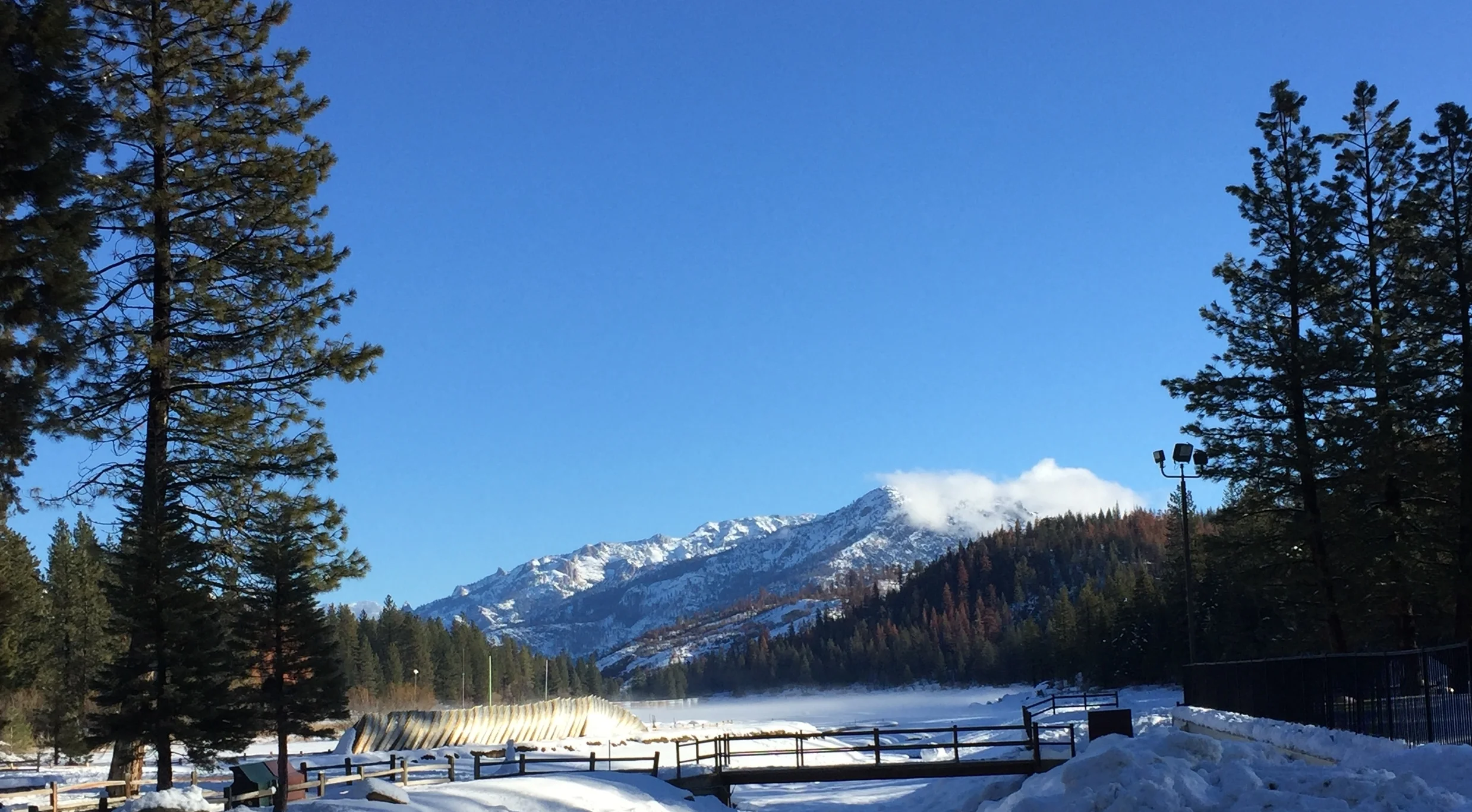 Snowdrifts of Hope