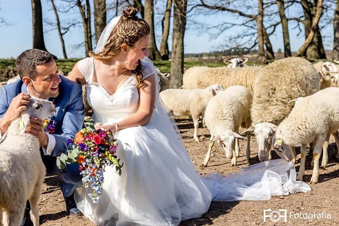 BUITEN TROUWEN IN APRIL??

Kijk je nu naar buiten dan kun je je dat waarschijnlijk niet voorstellen 🌧️ 

Maar vorig jaar op deze mooie datum hadden we een strakblauwe lente-lucht! 

Myrthe &amp; Steven gaven elkaar toen, onder toeziend oog van een p