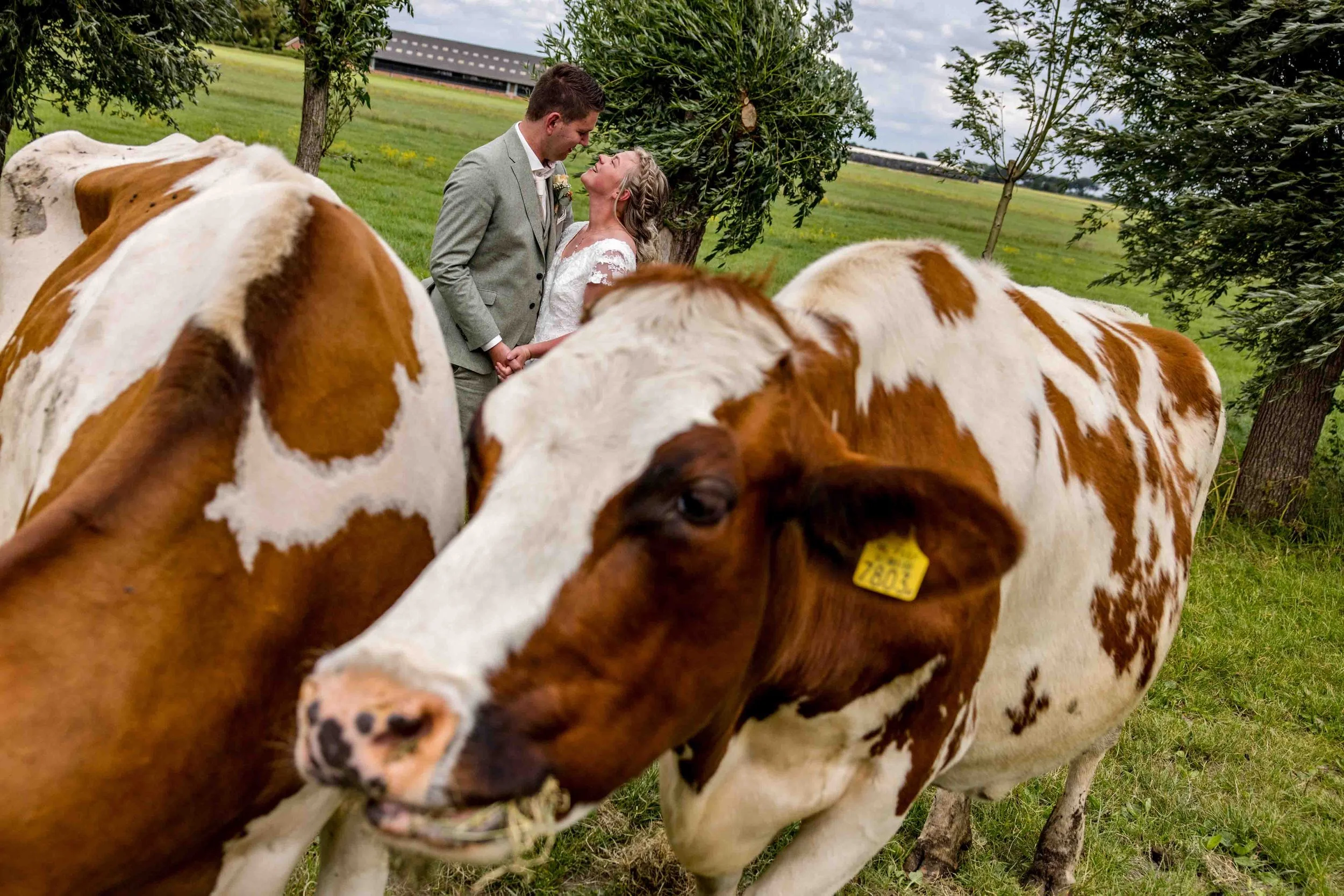 Fotografia_C&D_prev-44 banner.jpg