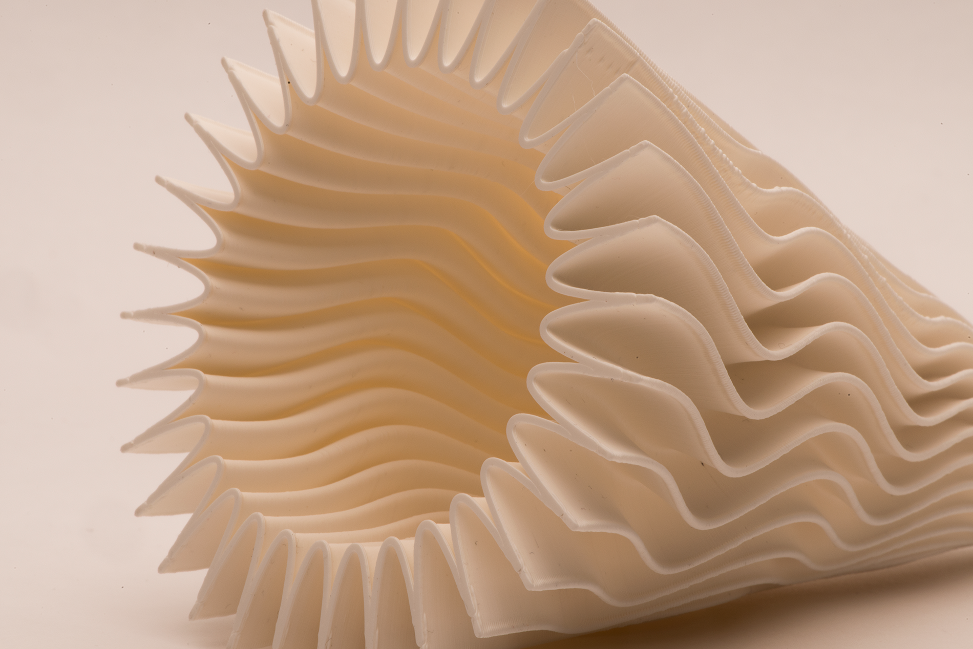 _DSC5773.png