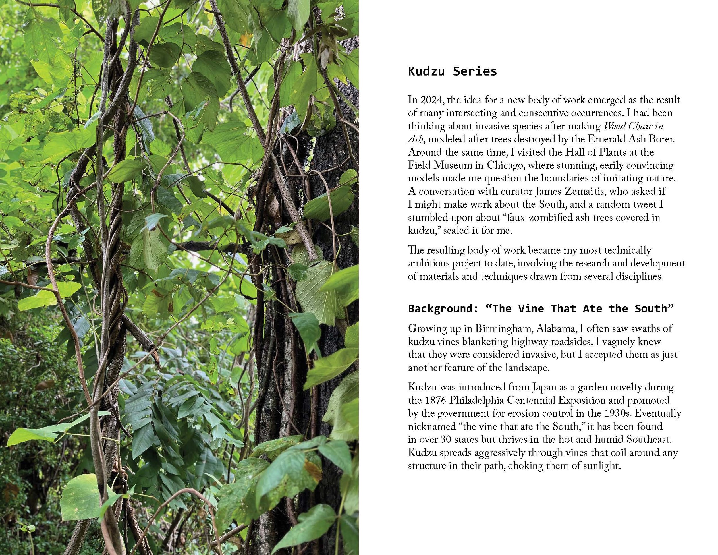 Process journal_Hypernatural_final_Page_08.jpg