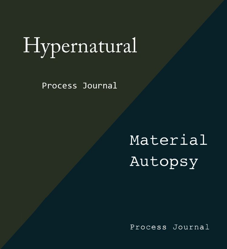 Process journal cover.jpg