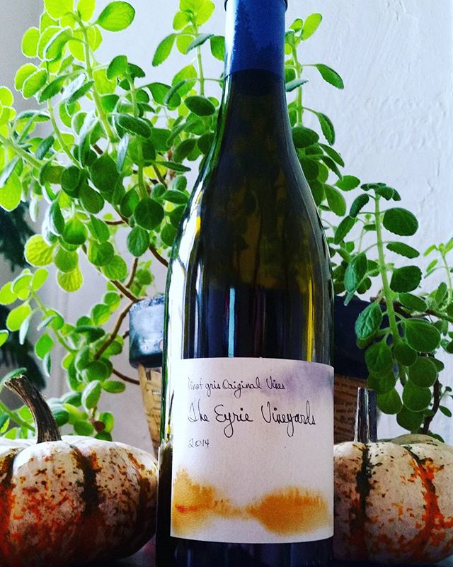 All hail David Lett and his life's work. Very lucky and grateful to have access to wines of this pedigree! #eyrievineyards #originalvines #davidlett #jasonlett #oregonwine #willamette #wine @chicagoplum