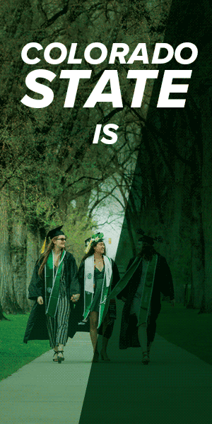 310985-CSU_SpringCampaign_300x600_CF_Grads_Animated.gif