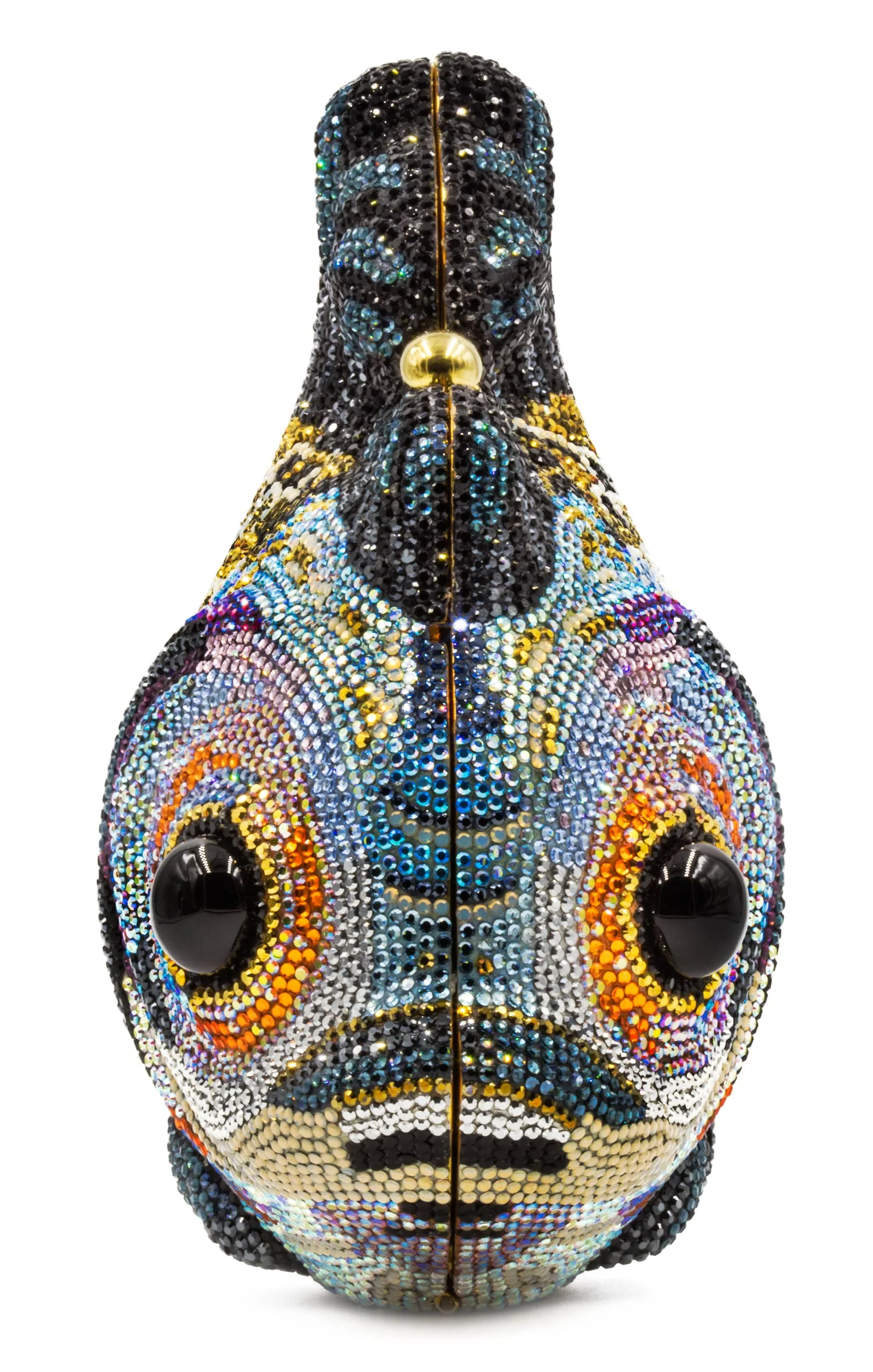 fish-front.jpg