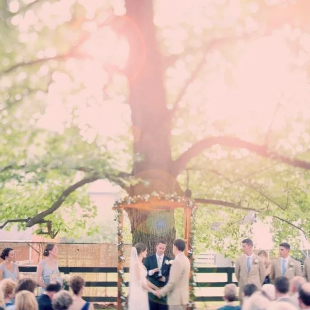 DC-Boutique-Wedding-Planner-Backyard-Potomac-Wedding-Ceremony.jpg