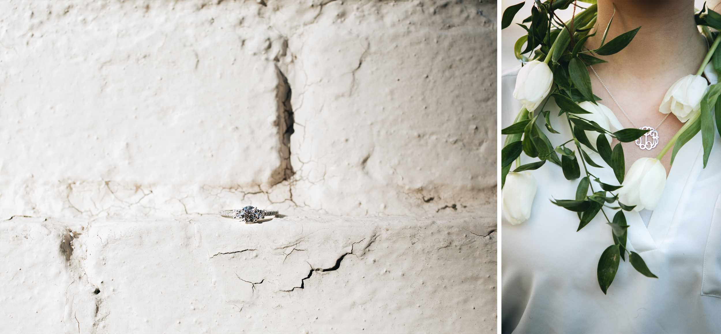 Max_and_Jorian_Washington_DC_Engagement_Session.png