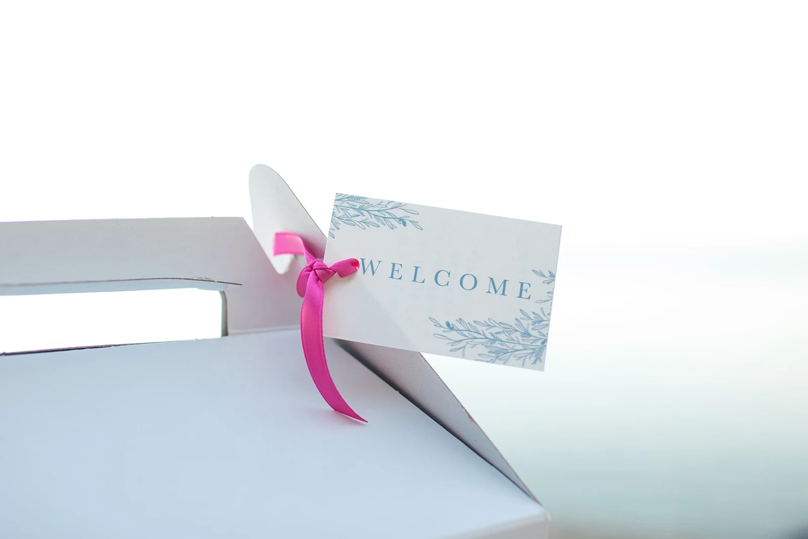 Amalfi Coast Destination Wedding DC Planner A Griffin Events 5.jpg