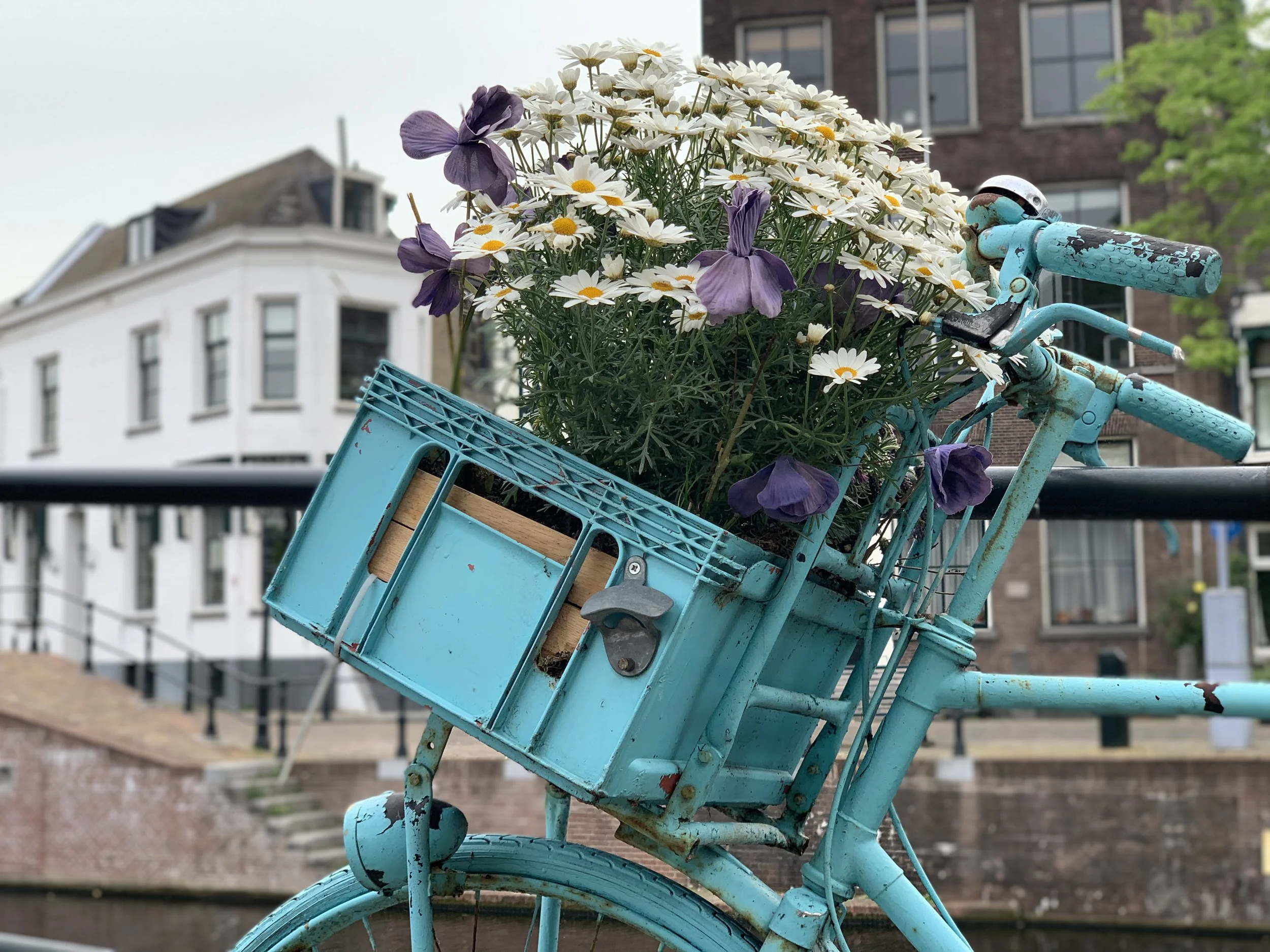 A Stroke of Inspiration 💡