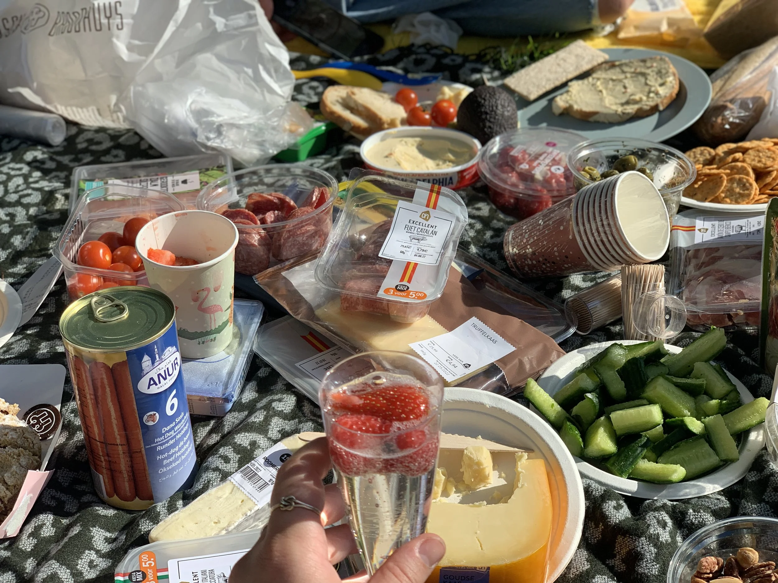 Picnic Day 🧺