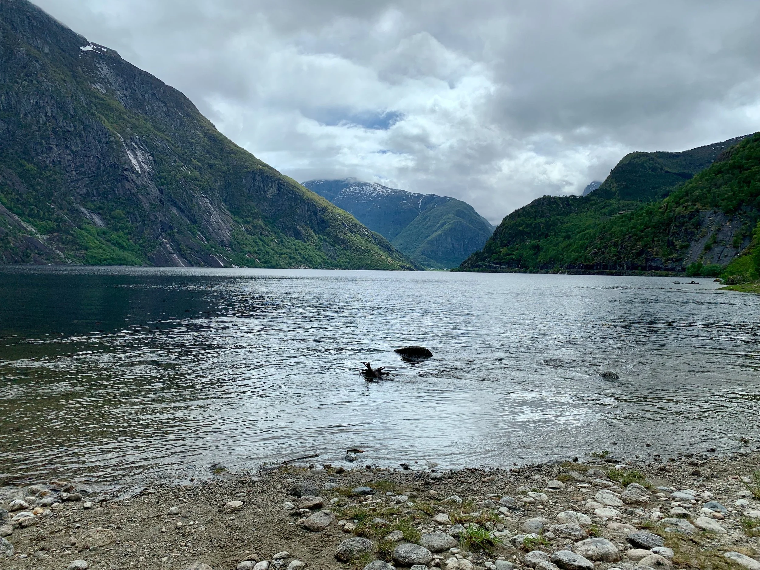 Picnic in the Fjords 🧺⛰