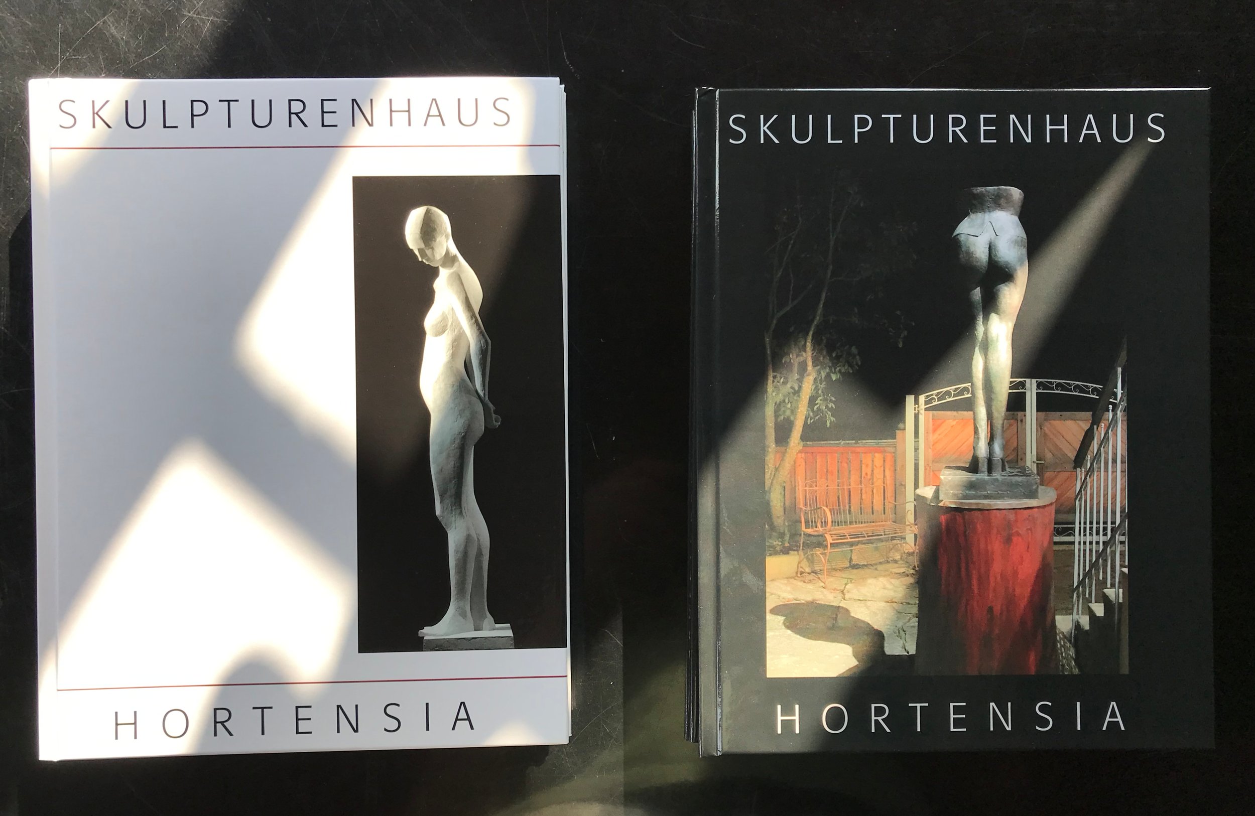 Skulpturenhaus-Buch.jpg