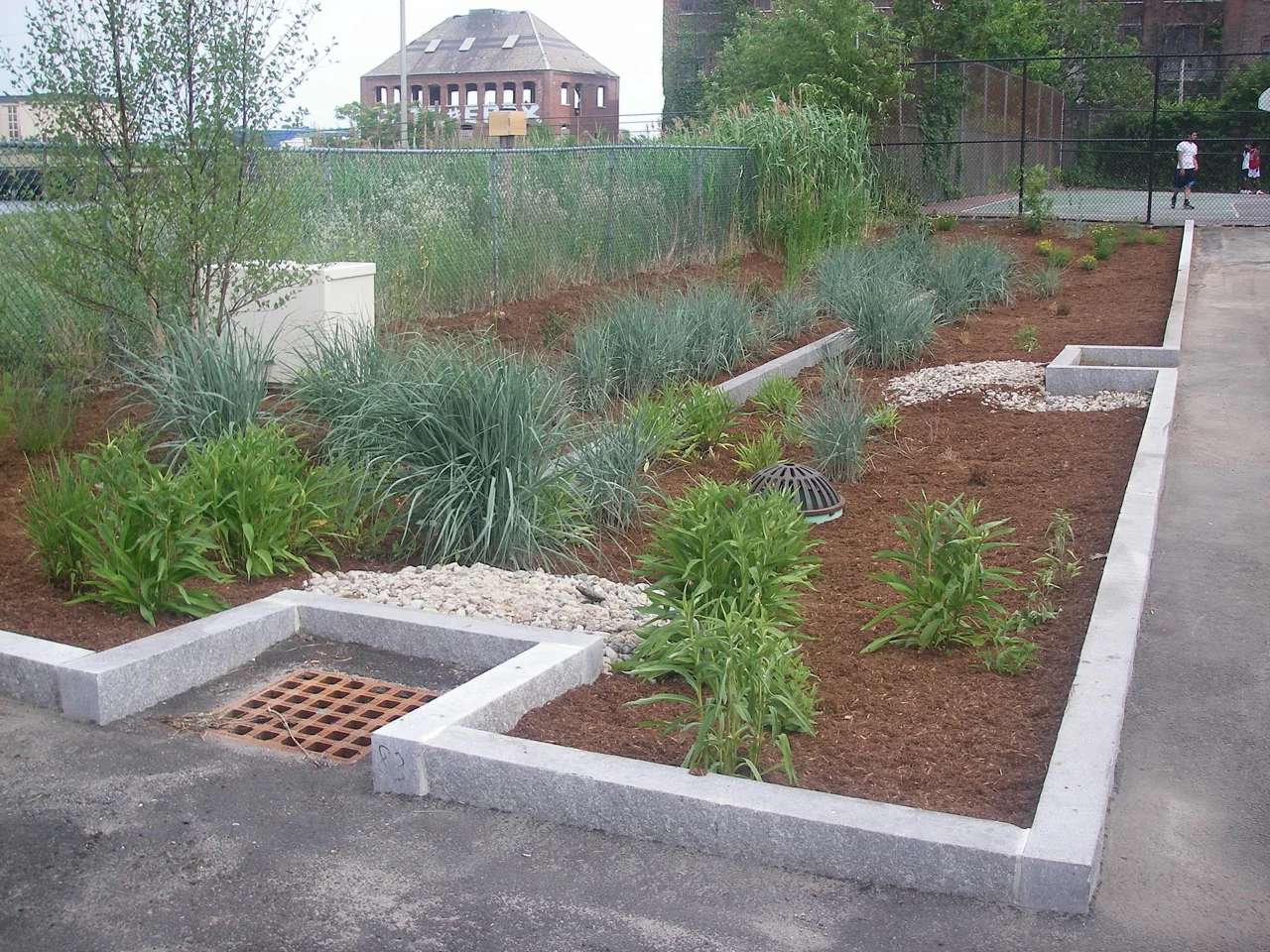 Biofilter treating Stormwater before Discharging to Mill Creek 
