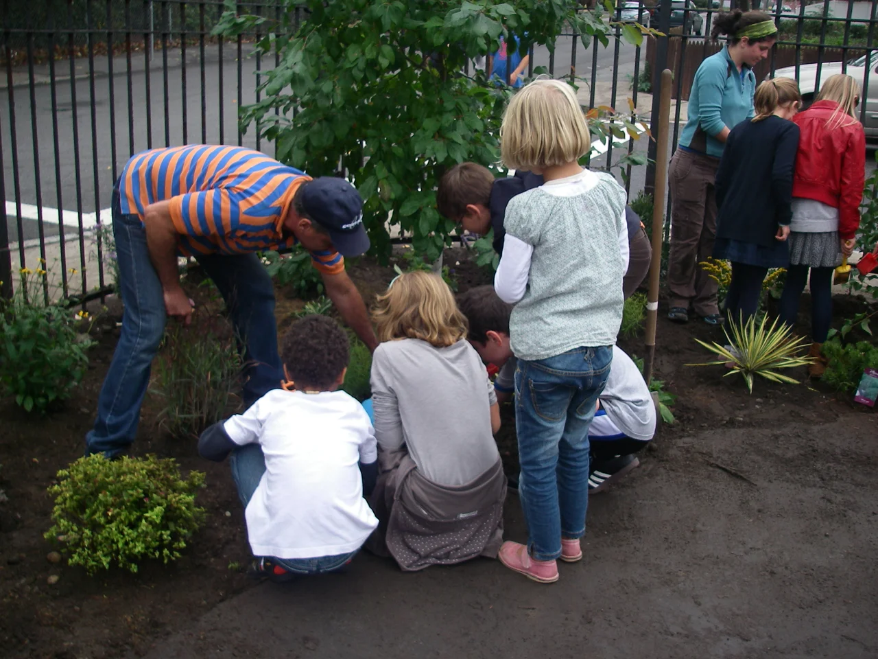 Everett Street Pilot - Planting by GISB Students