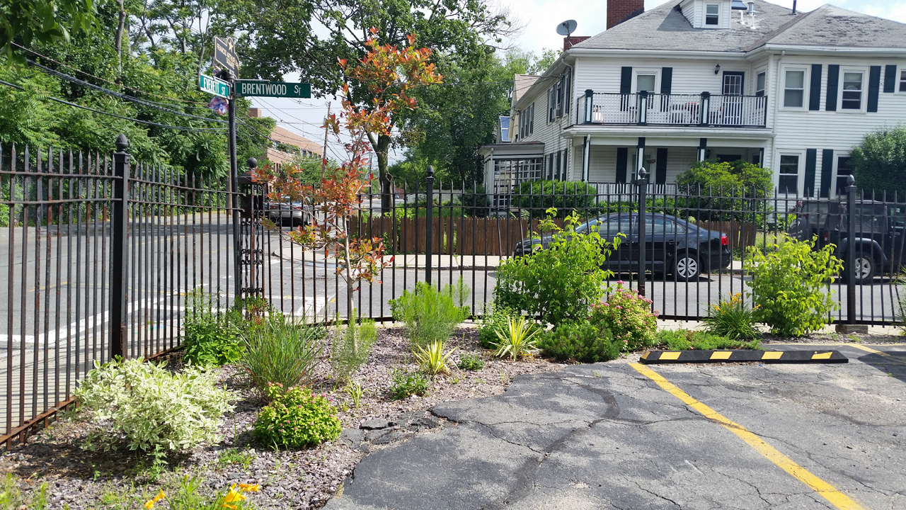 Everett Street Pilot - Allston