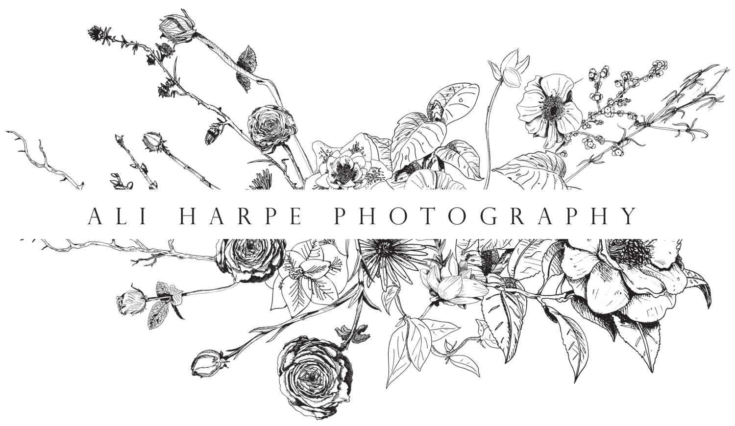 ALI HARPE PHOTOGRAPHY