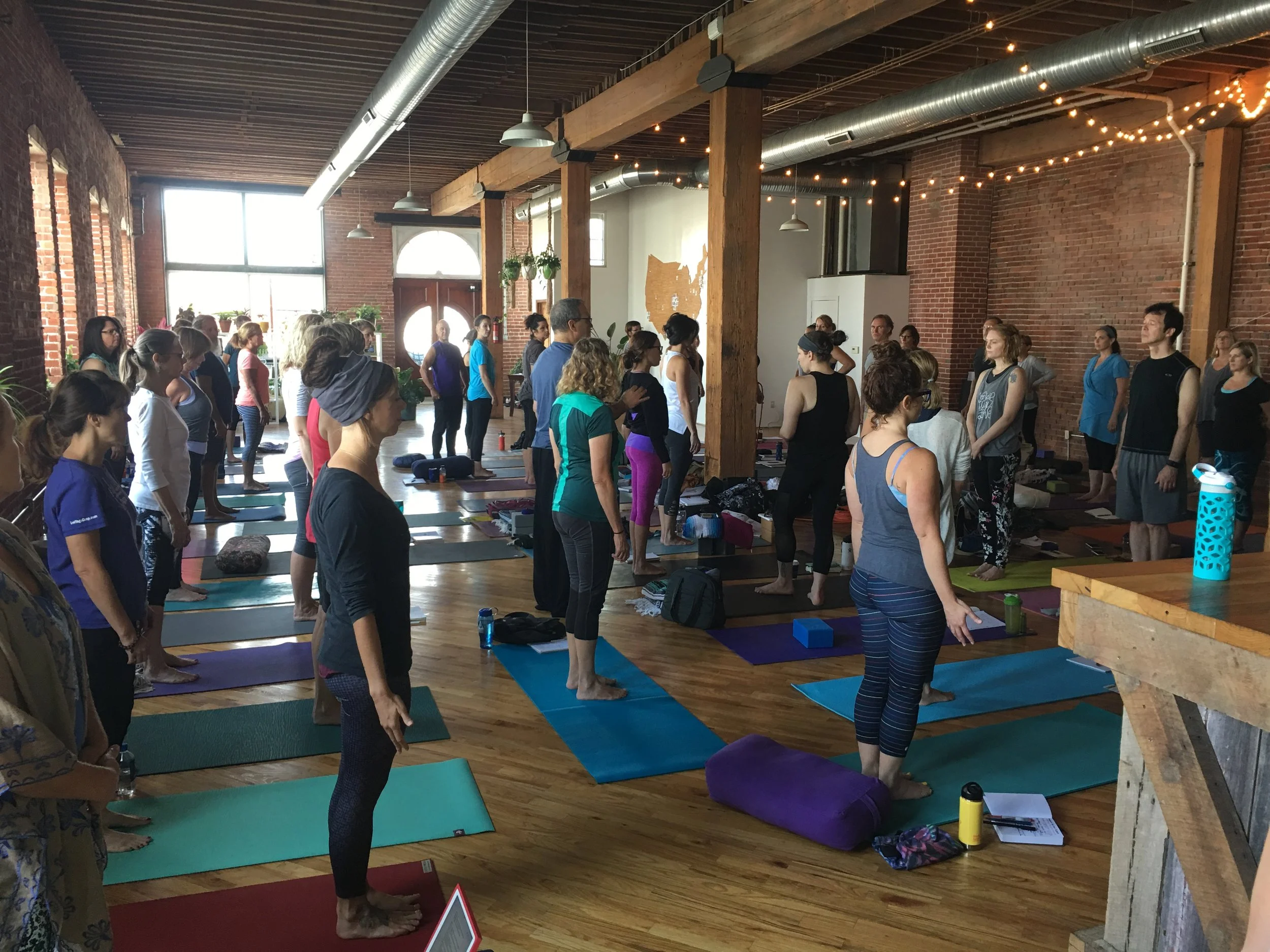 Dr. Raymond Long, BandhaYoga Anatomy Module, August 2017