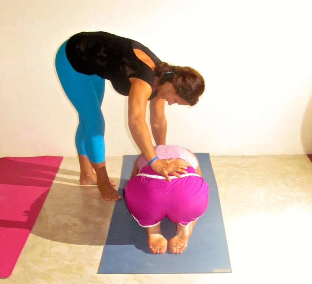 Assessment Clinic, part of the KC Yoga Therapy Professional Training Program