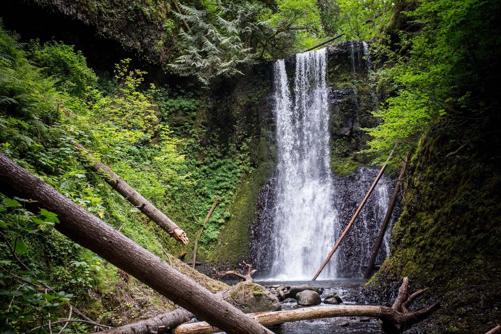 Ecola Falls in the Columbia Gorge