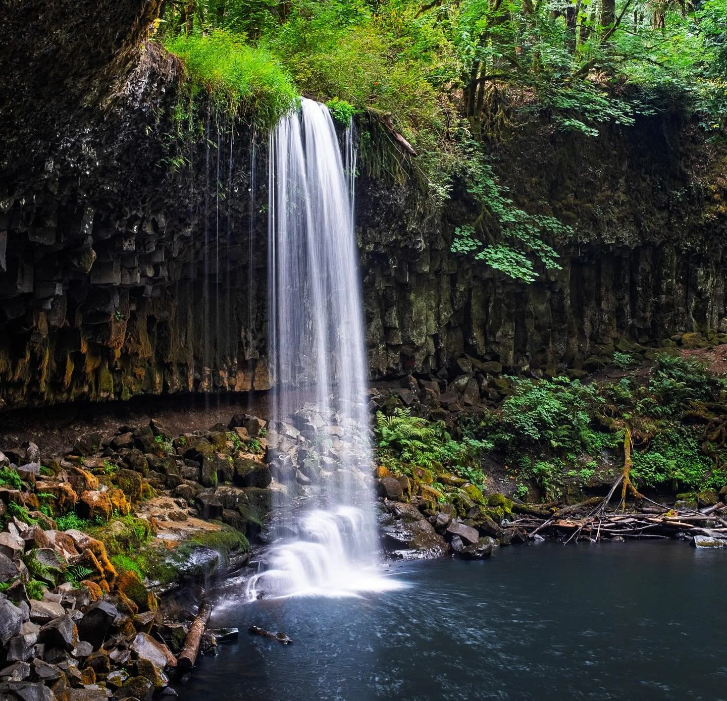 “Now, water can flow or it can crash. Be water, my friend.”
-Bruce Lee
This year has crashed and flowed through some incredible highs and challenging lows, not unlike this PNW river, stretched thin by the end of summer. We’re both