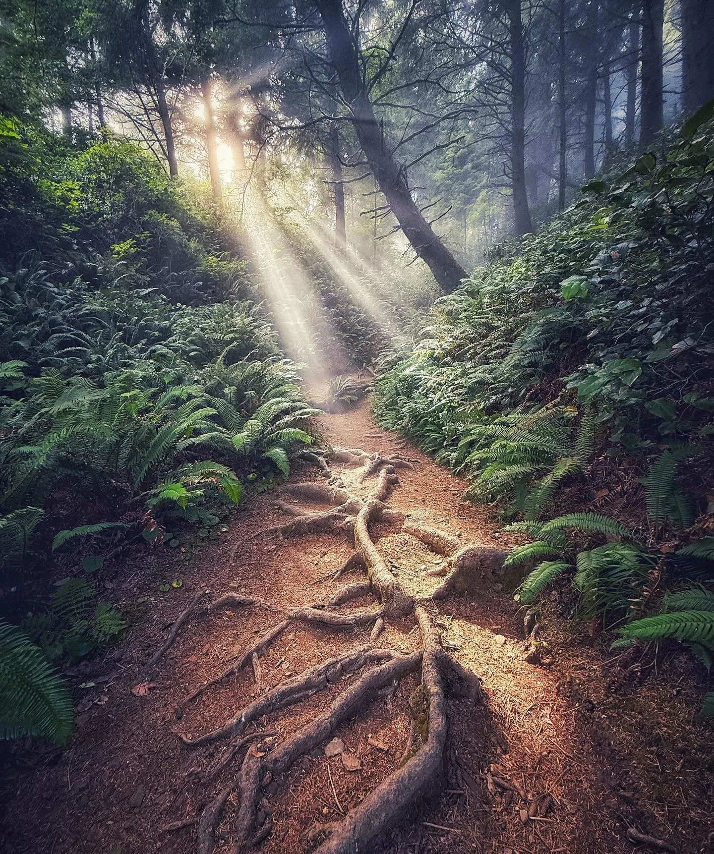 This career path has never been straight forward or obvious. There are switchbacks, forks and gnarled roots to trip you up... and it&rsquo;s not getting any easier. But then I&rsquo;m reminded of how lucky I am to do this work&mdash;and how there&rsq