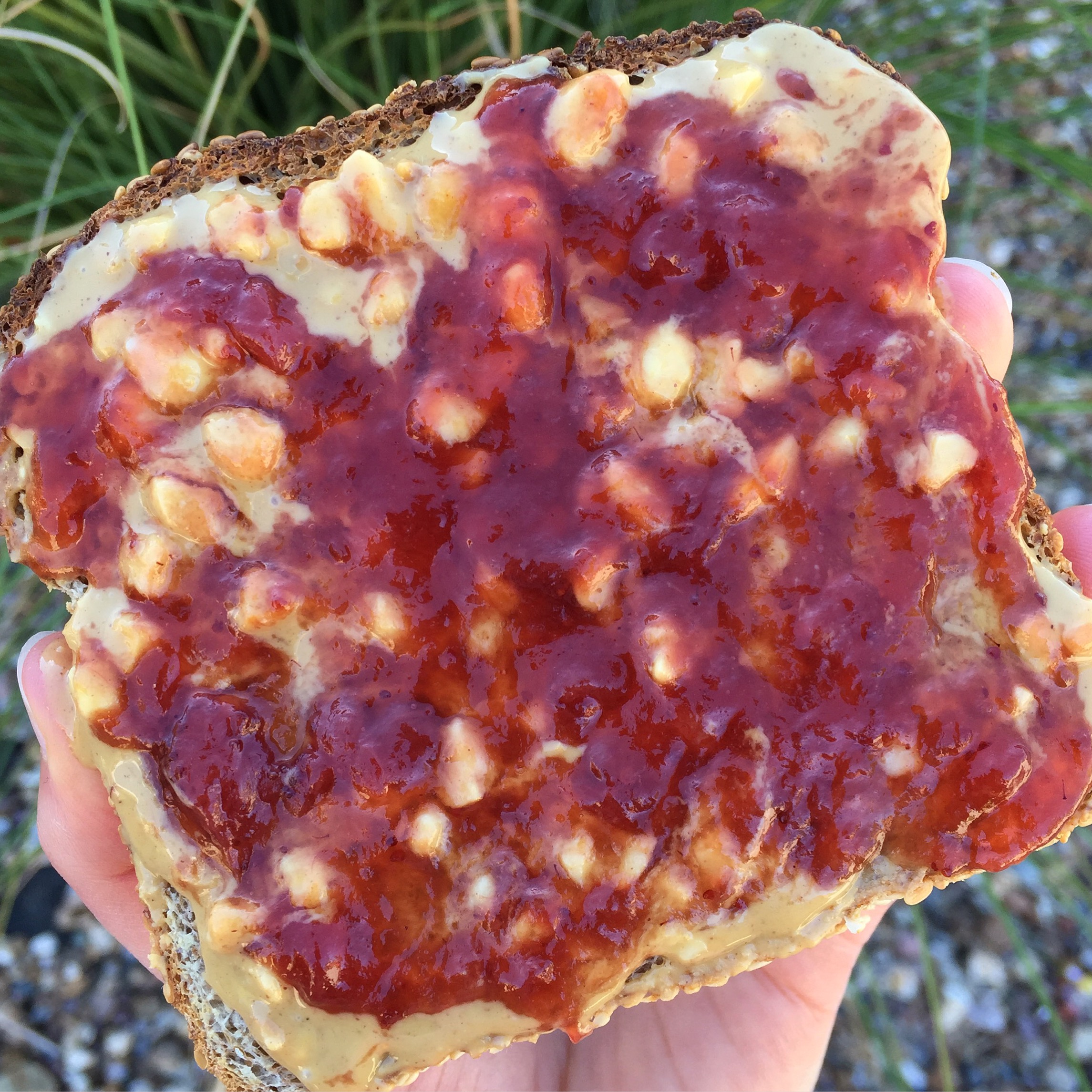 Toasted Sesame Food for Life Ezekiel bread + Whole Foods Crunchy PB + Crofter's Organic strawberry preserves