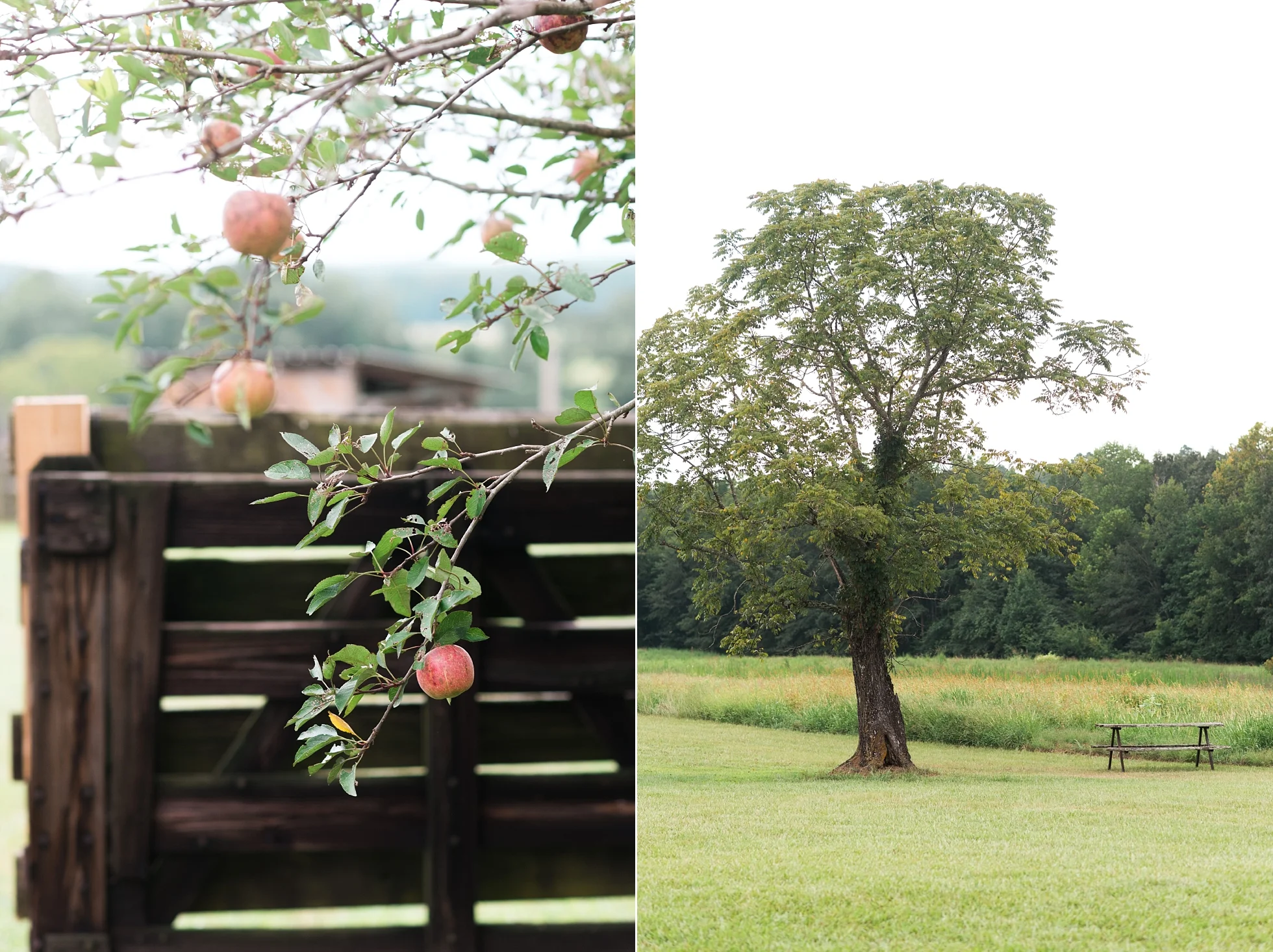 TYLER & KRISTIN | LAYMON WEDDING | SWEET MEADOW FARMS