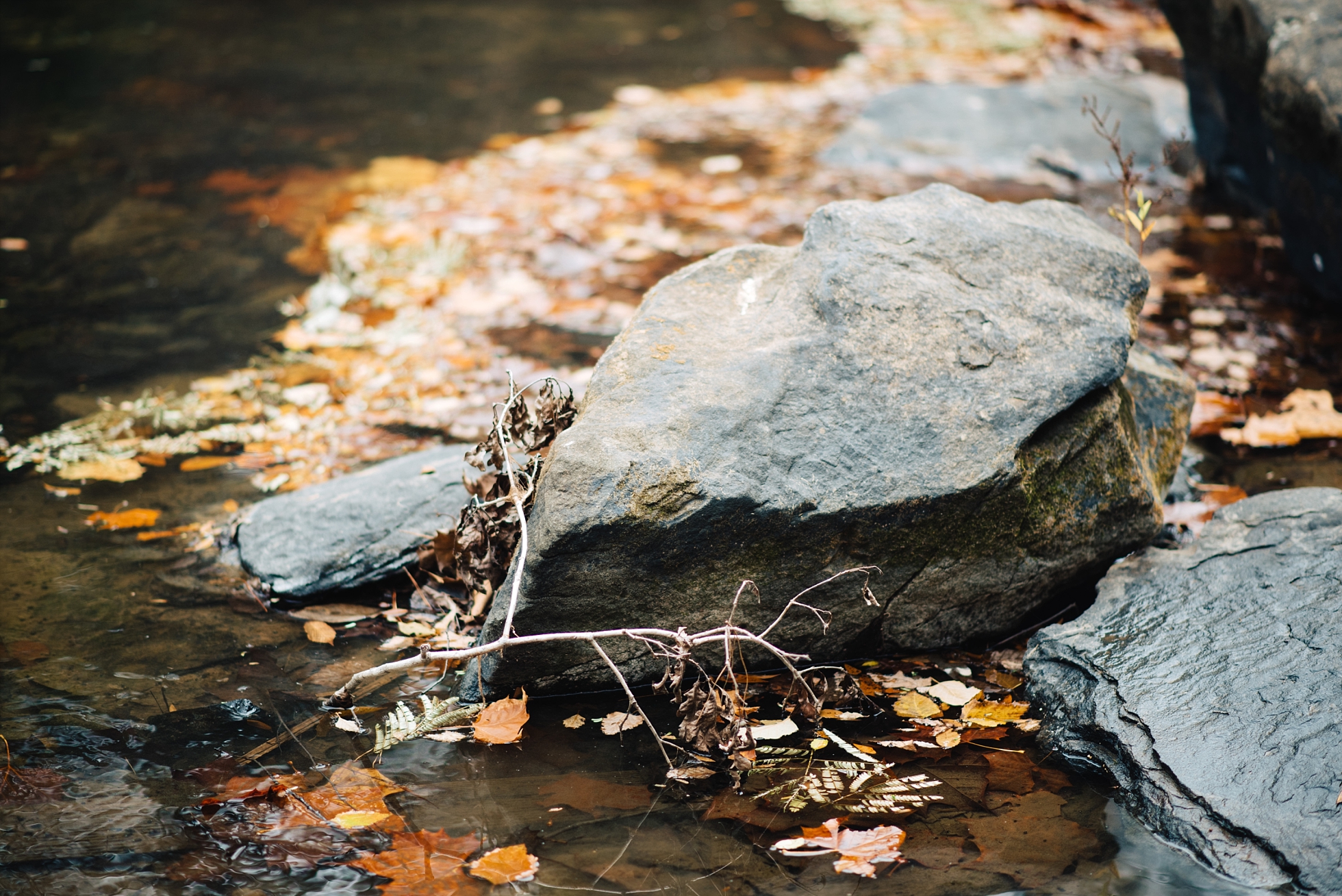 TJ & SHELBY | ENGAGEMENT SESSION ON CAHABA RIVER | BRIMINGHAM, AL